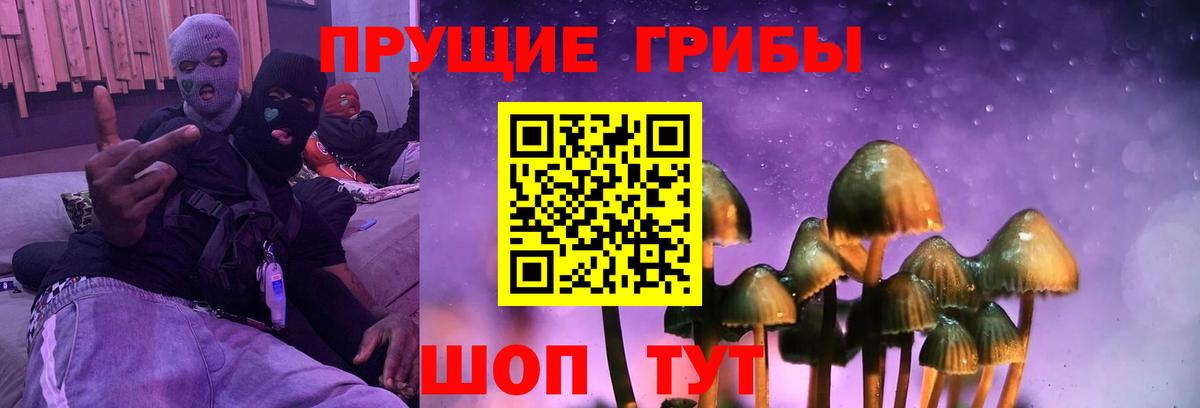 Мценск  Псилоцибиновые грибы MAGIC MUSHROOMS  Вход с VPN 